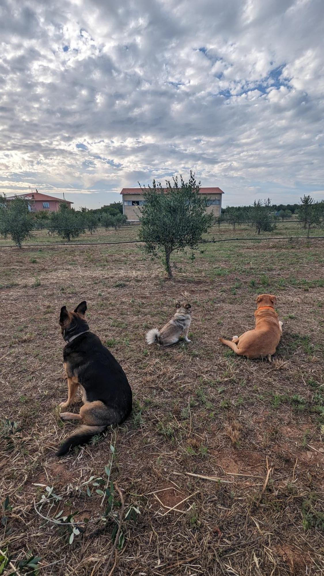 Casa Rurale San Vincenzo Zewnętrze zdjęcie